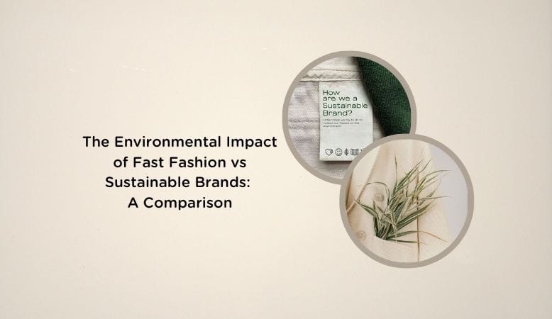 Sustainable Fashion